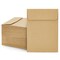 100 Pack Small Seed Saving Envelopes - 4.5x3.25 Self Adhesive Blank Packets for Coins, Stamps, Mini Parts Storage (Brown)